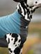 Флісовий пуловер для собак Non-stop dogwear Бірюзовий 33 41336 фото 5