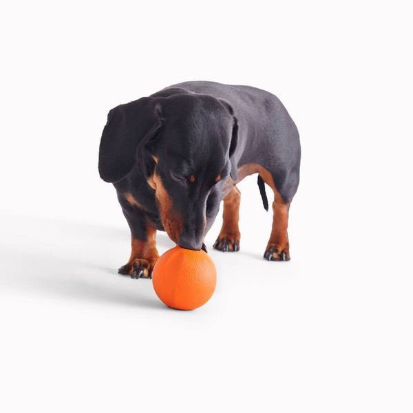 Игрушка мячик с отверстием для вкусняшек для собак Beco Pets Fetch Ball Оранжевый 31353 фото