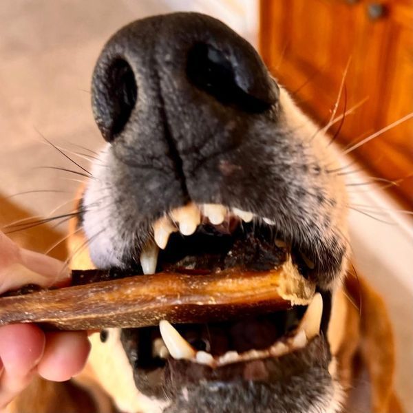 Натуральні ласощі для собак Cooka's Cookies Pork Spawghetti 100% Свинячі кишки 60 г 45367 фото