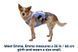 Охлаждающая шлейка для собак Ruffwear Swamp Cooler&trade; L/XL 81-107 см Фиолетовый 30856 фото 11