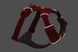 Повседневная шлейка для собак Ruffwear Front Range&reg; M 69-81 см Красный 30794 фото 4