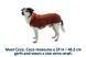 Водонепроникна куртка для собак Ruffwear Vert&trade; M Помаранчевий 30560 фото 10