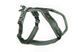 Шлея для собак Line harness 5.0 Non-stop dogwear Зеленый 4 40619 фото 1