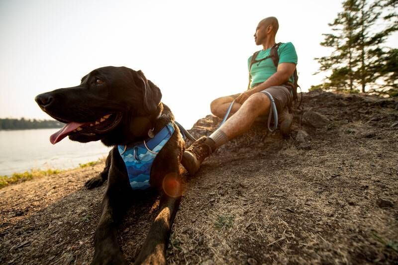 Повседневный поводок для собак Ruffwear Front Range&trade; Голубо-синий 30906 фото