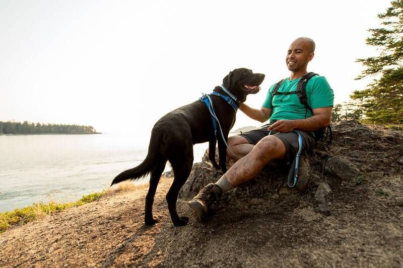 Повседневный поводок для собак Ruffwear Front Range&trade; Голубо-синий 30906 фото