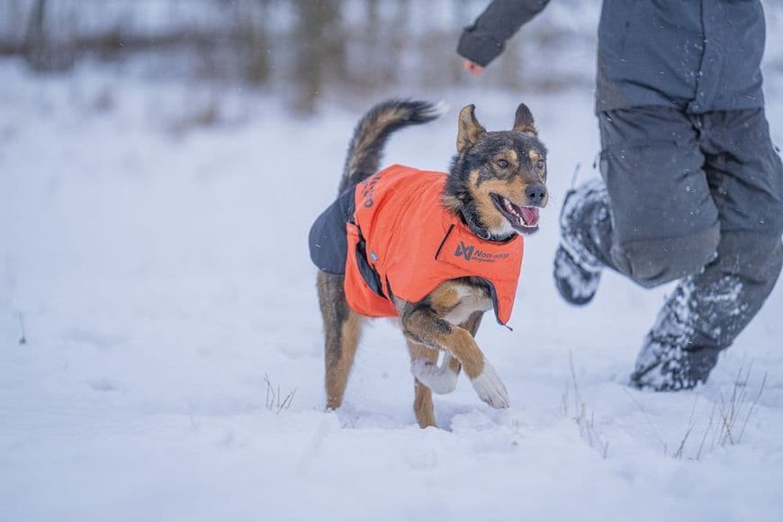Куртка для собак Long distance + jacket Non-stop dogwear Помаранчевий M 41357 фото