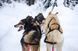 Шлейка для собак Nansen stick harness Non-stop dogwear Чорний 10.5 40728 фото 5