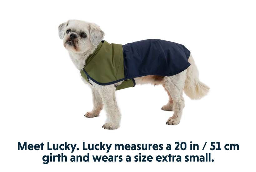 Дождевик для собак Ruffwear Sun Shower&trade; S Сине-оливковый 30505 фото
