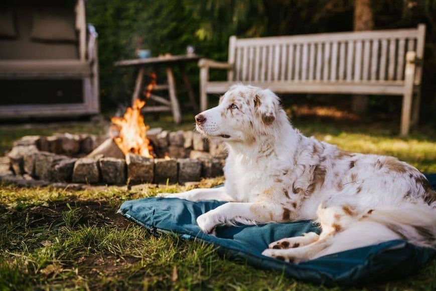 Складной коврик для собак Trekking dog bed Non-stop dogwear Темно-Бирюзовый M 40550 фото