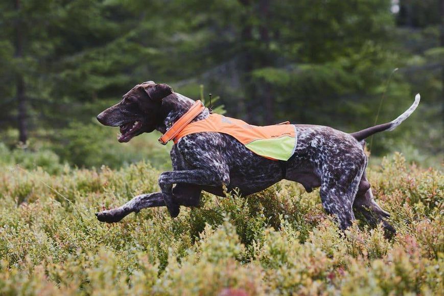 Світловідбивна накидка Protector cover Non-stop dogwear Помаранчевий M 40855 фото