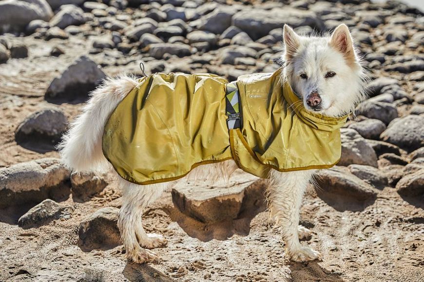 Рефлекторний дощовик для собак Hurtta Mudventure Reflective Coat 45 Жовтий 31406 фото
