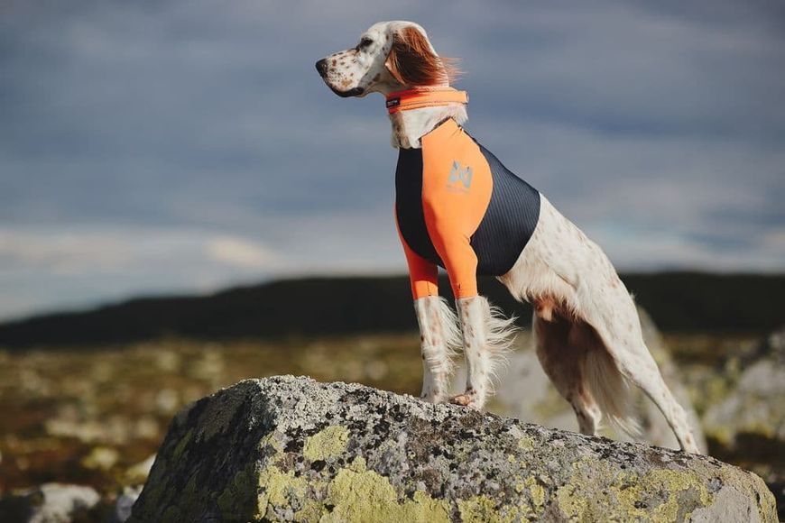 Футболка для собак Protector t-shirt Non-stop dogwear Чорний/Помаранчевий S 41055 фото