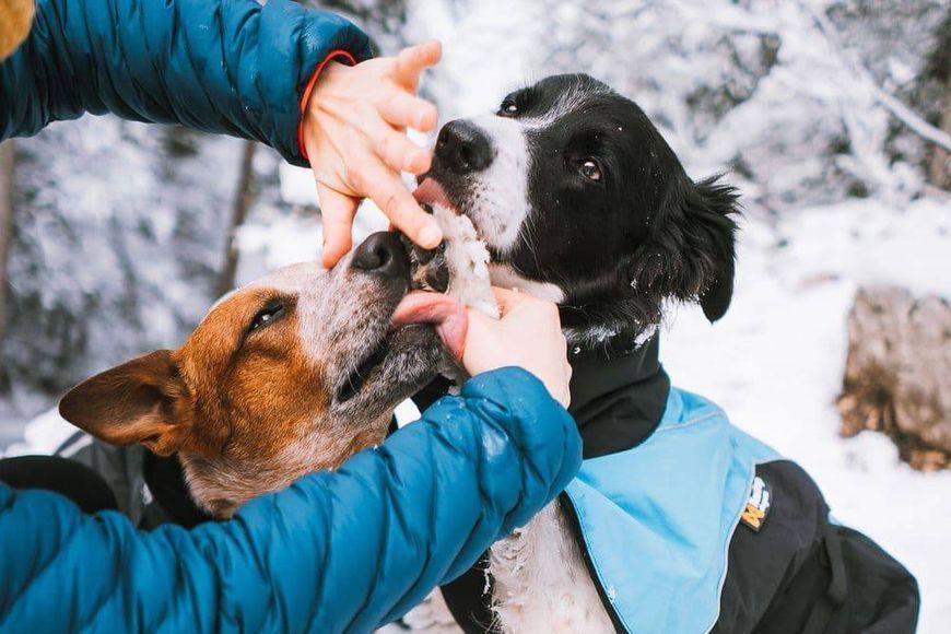 Мазь для догляду за лапами собак Paw care Non-stop dogwear 100 мл 40478 фото