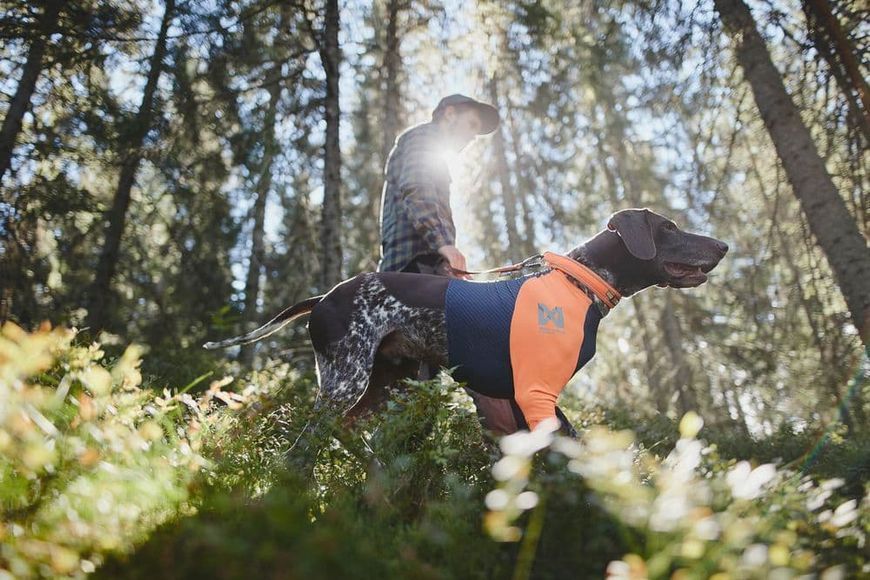 Футболка для собак Protector t-shirt Non-stop dogwear Чорний/Помаранчевий S 41055 фото