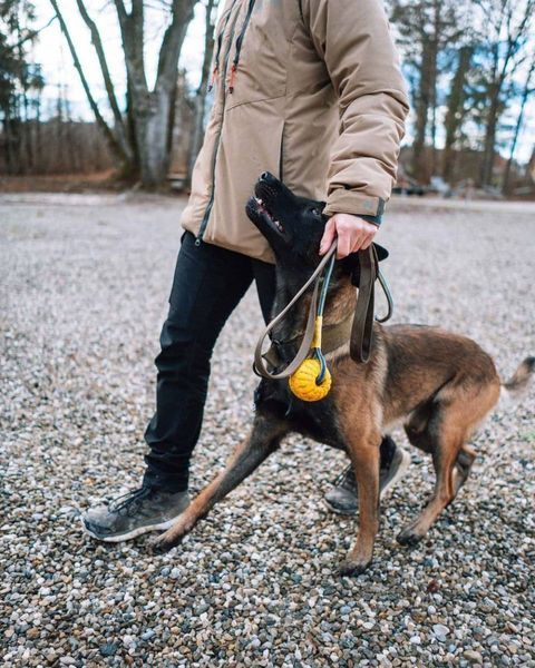 Повідець для собак Solid leash WD Non-stop dogwear Оливковий 2 м 41408 фото