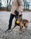 Повідець для собак Solid leash WD Non-stop dogwear Оливковий 2 м 41408 фото 3