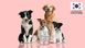 Веганский кондиционер для собак Inoom Our Earth Pet Conditioner 500 мл 32753 фото 2