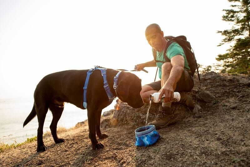 Повседневный ошейник для собак Ruffwear Front Range&trade; 51-66 см Голубо-синий 30661 фото