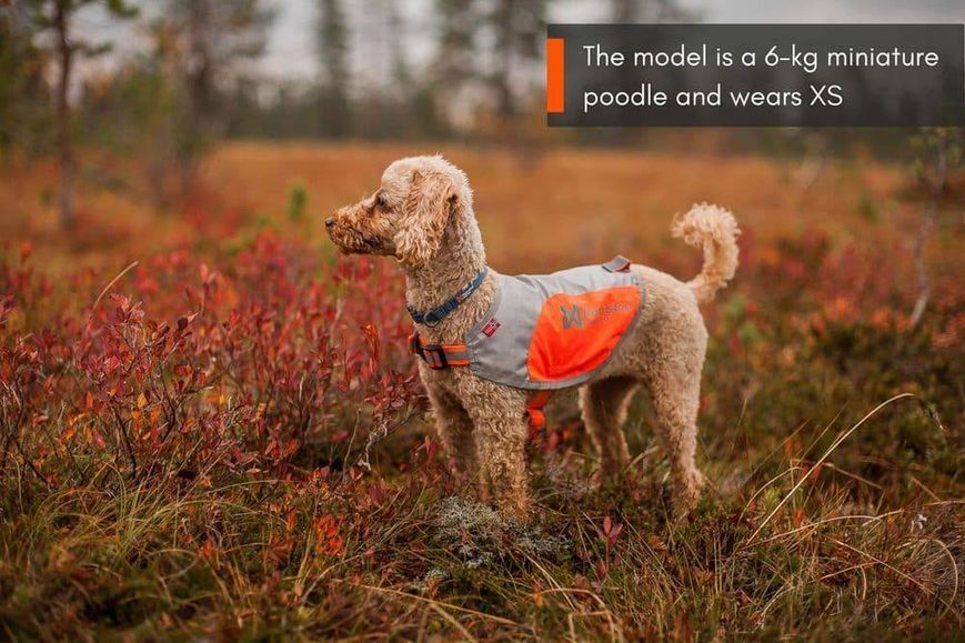 Світловідбивна попона Reflection blanket Non-stop dogwear Помаранчевий M 40861 фото