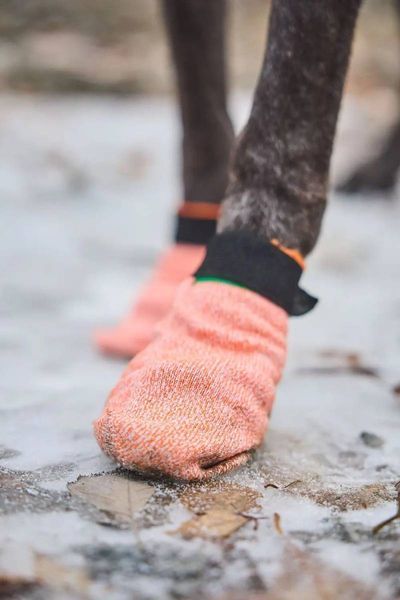 Шкарпетки для собак Protector light socks Non-stop dogwear Помаранчевий L 4 Шт. 40335 фото