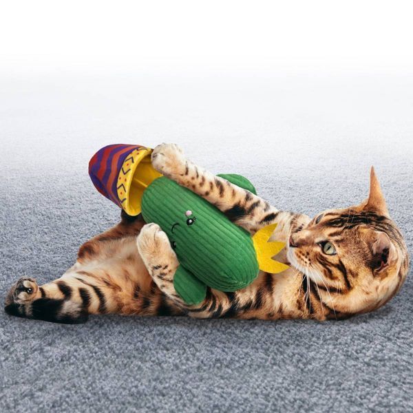 Іграшка для котів Kong Wrangler Cactus 41633 фото
