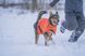 Куртка для собак Long distance + jacket Non-stop dogwear Помаранчевий XL 41359 фото 4