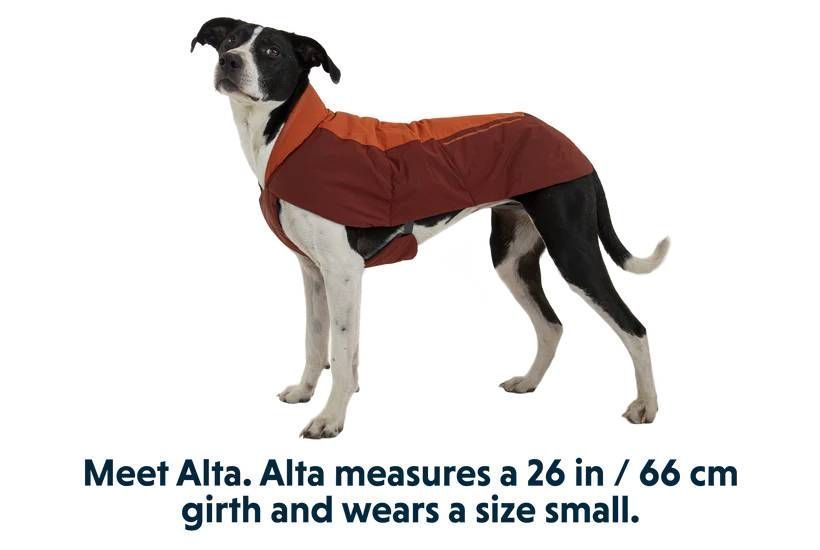 Водонепроницаемая куртка для собак Ruffwear Vert&trade; XL Оранжевый 30562 фото