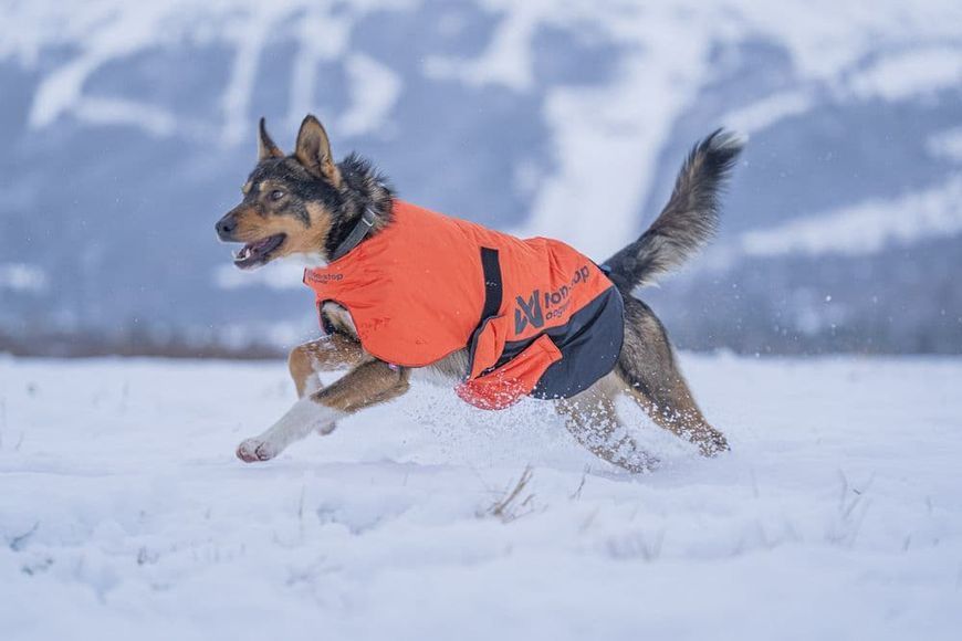 Куртка для собак Long distance + jacket Non-stop dogwear Помаранчевий XL 41359 фото