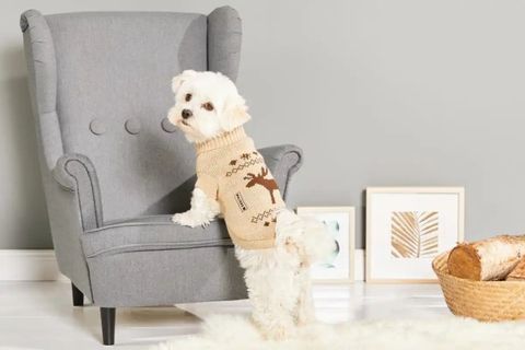 Вязаный свитер для собаки Wolters Moose с узором Лось 30 см Бежевый 29559 фото