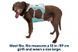Охолоджувальна шлейка для собак Ruffwear Swamp Cooler&trade; S 56-69 см Зелений 30859 фото 11