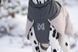 Зимова куртка для собак Glacier wool jacket 3.0 Non-stop dogwear Сірий 70 41119 фото 3
