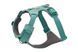 Повсякденна шлейка для собак Ruffwear Front Range&reg; XS 43-56 см Зелений 30797 фото 7