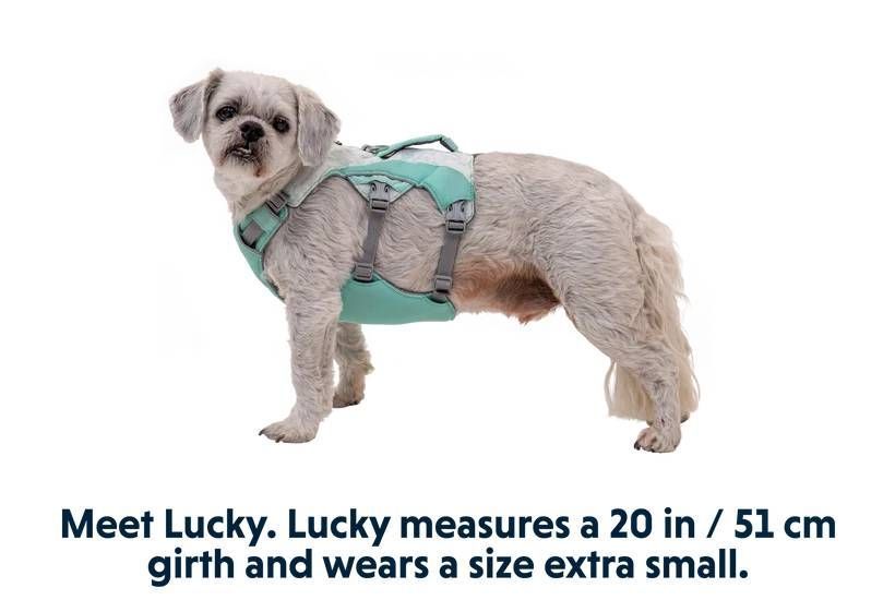 Охолоджувальна шлейка для собак Ruffwear Swamp Cooler&trade; S 56-69 см Зелений 30859 фото