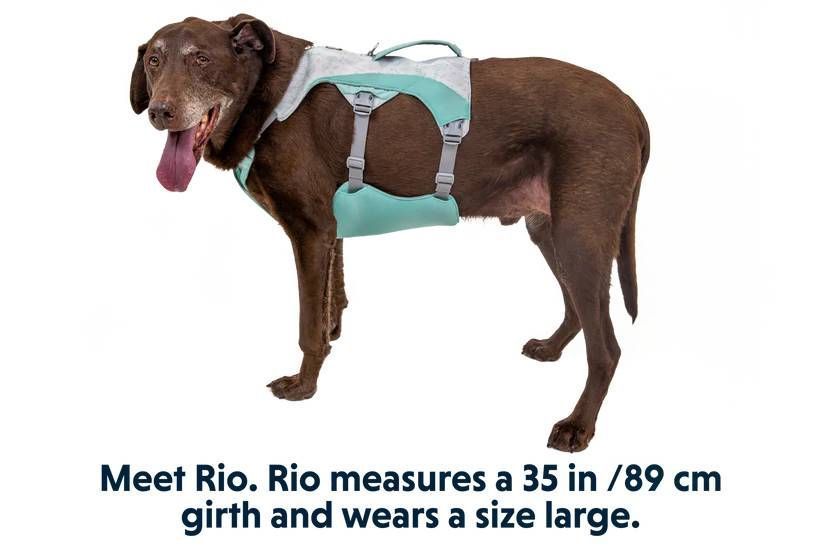 Охолоджувальна шлейка для собак Ruffwear Swamp Cooler&trade; S 56-69 см Зелений 30859 фото