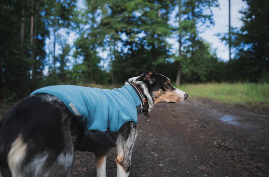 Флісовий пуловер для собак Non-stop dogwear Бірюзовий 45 41339 фото