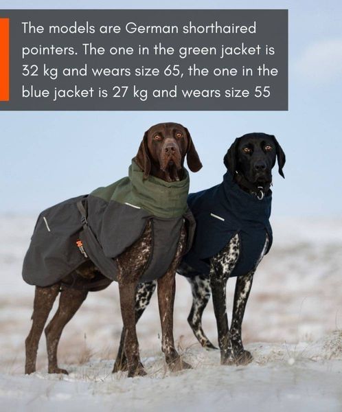 Шерстяная куртка для собак Glacier wool jacket 2.0 Non-stop dogwear Темно-Синий 36 41014 фото