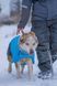 Куртка для собак Long distance light jacket Non-stop dogwear Синий M 41361 фото 6