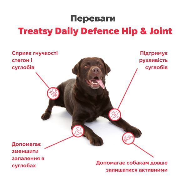 Функциональные лакомства для собак Treatsy Daily Defence Hip & Joint Поддержка суставов и костей 30 шт. 45371 фото