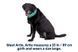 Охолоджуючий бафф на шию собаці Ruffwear Swamp Cooler&trade; XL Бірюзово-фіолетовий 30514 фото 2