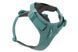 Повсякденна шлейка для собак Ruffwear Front Range&reg; S 56-69 см Зелений 30798 фото 7