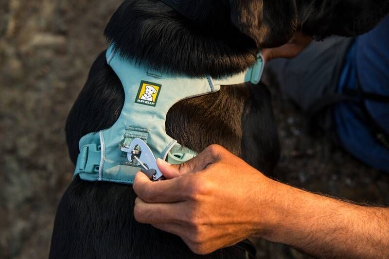Повсякденна шлейка для собак Ruffwear Front Range&reg; S 56-69 см Зелений 30798 фото