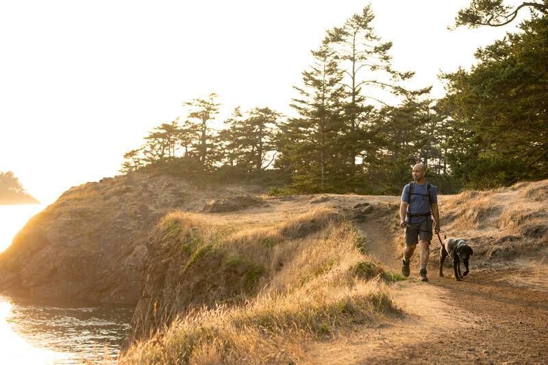 Повсякденна шлейка для собак Ruffwear Front Range&reg; S 56-69 см Зелений 30798 фото