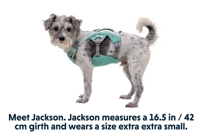Охолоджувальна шлейка для собак Ruffwear Swamp Cooler&trade; M 69-81 см Зелений 30860 фото