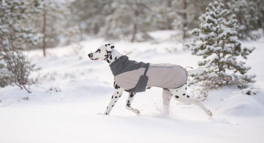 Зимова куртка для собак Glacier wool jacket 3.0 Non-stop dogwear Сірий 80 41120 фото